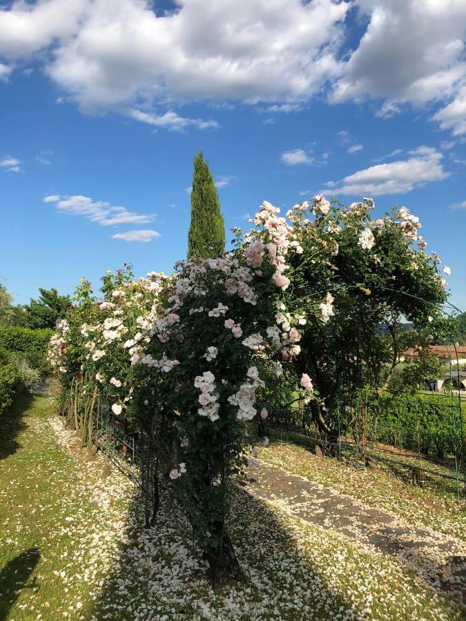 Il Giardino Di Flora Hotel Buti ภายนอก รูปภาพ